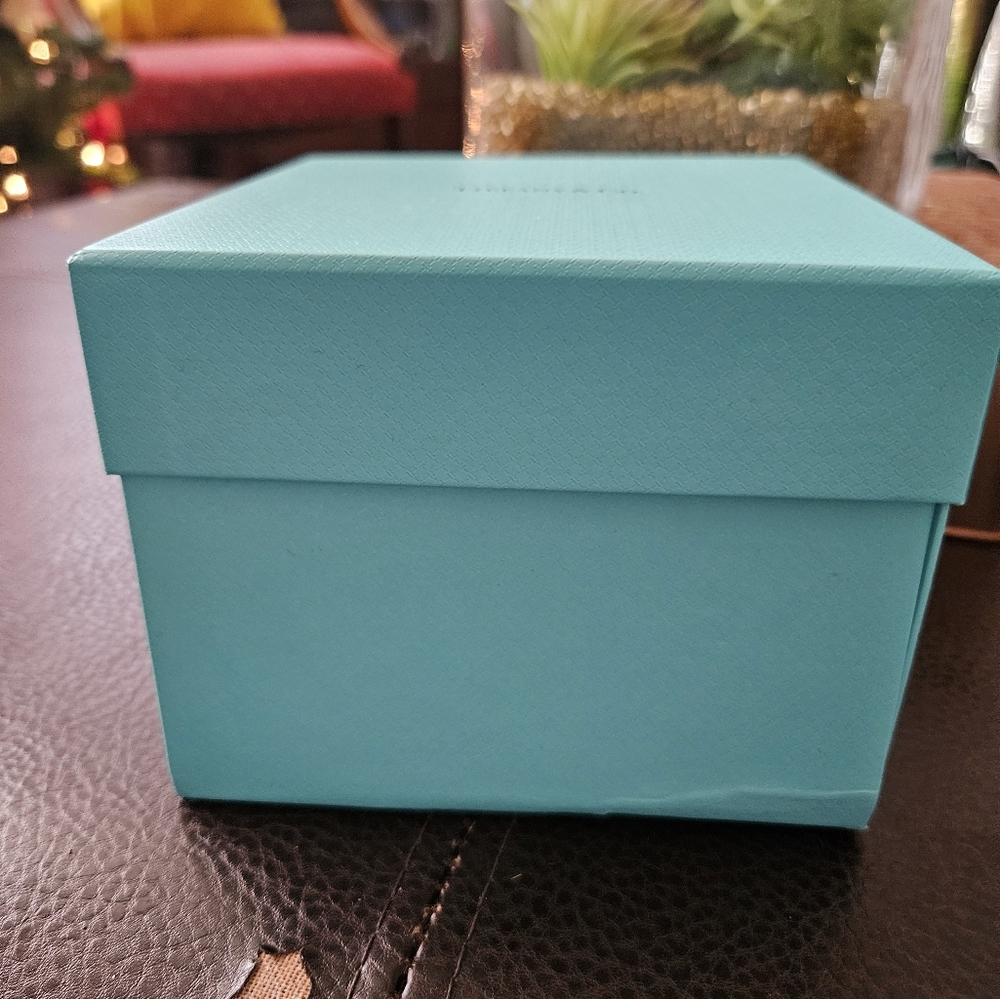 Authentic Tiffany Gift Box - Picture 3 of 4